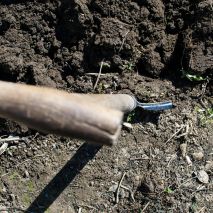 pexels-goumbik-296232